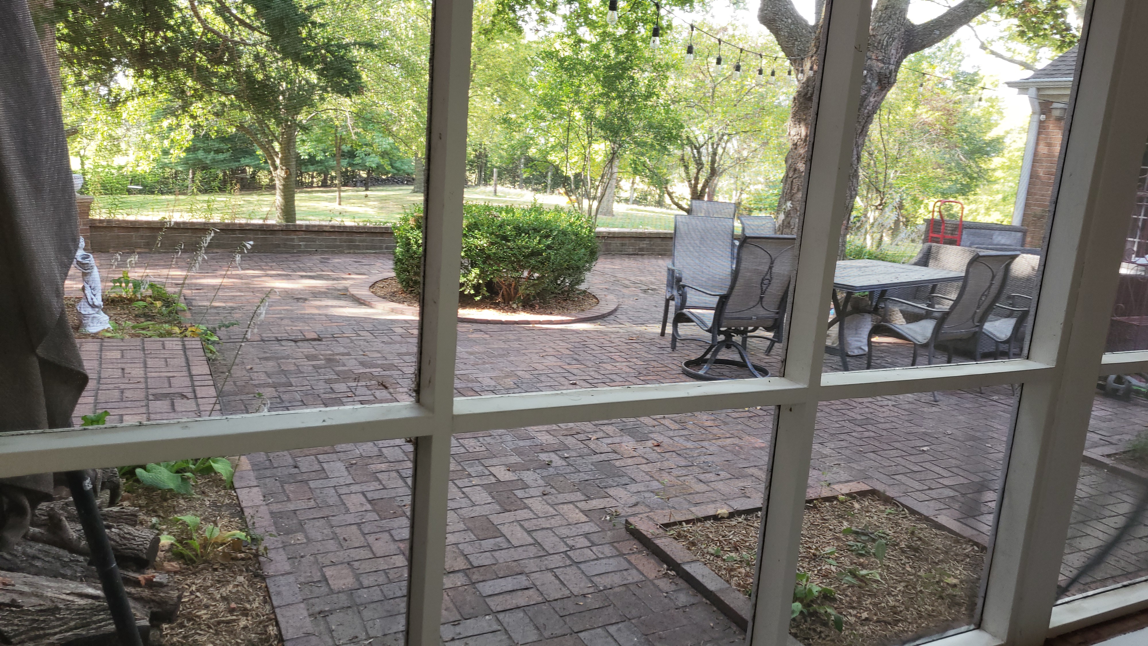 View of courtyard from insde the screened porch